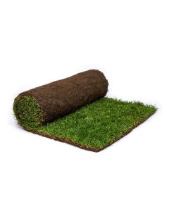 Rolawn Medallion Turf Roll