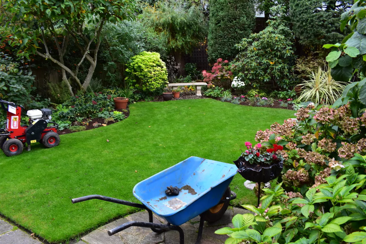 Case Study: Menelik Road 2