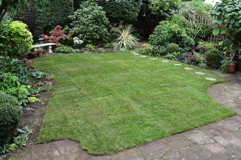 Case Study: Menelik Road 5