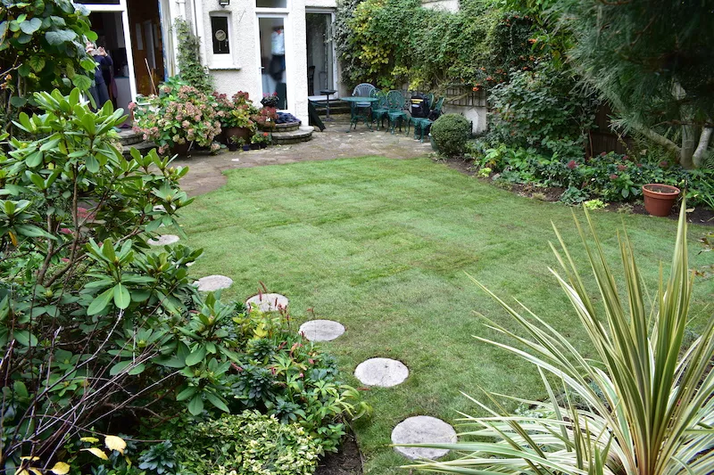 Case Study: Menelik Road 7