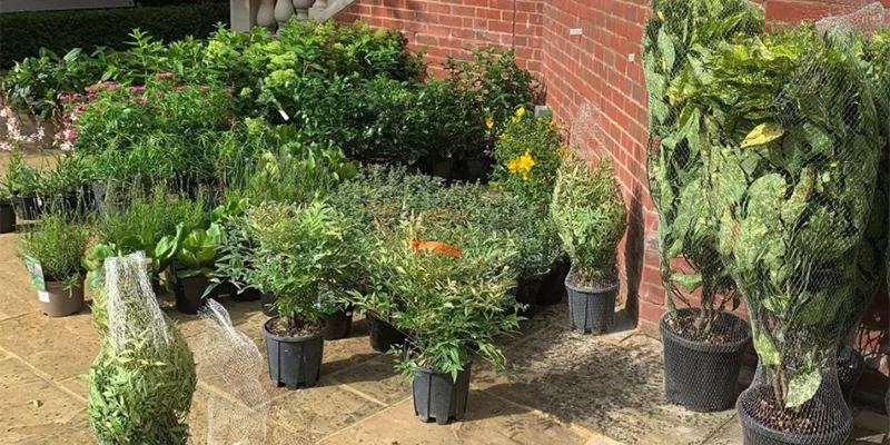 Case Study: Woodfield Hill 10