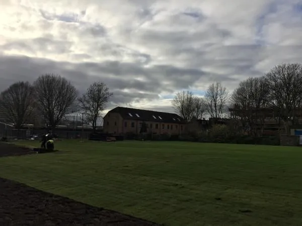 Turf laying in spring/summer: things to consider