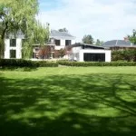 How to remove toadstools from your lawn turf