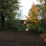 How to control topsoil erosion in sloping gardens