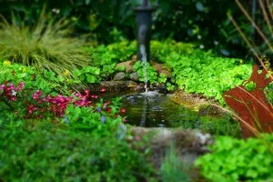 garden water features