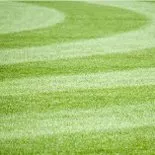 BUY TURF ONLINE