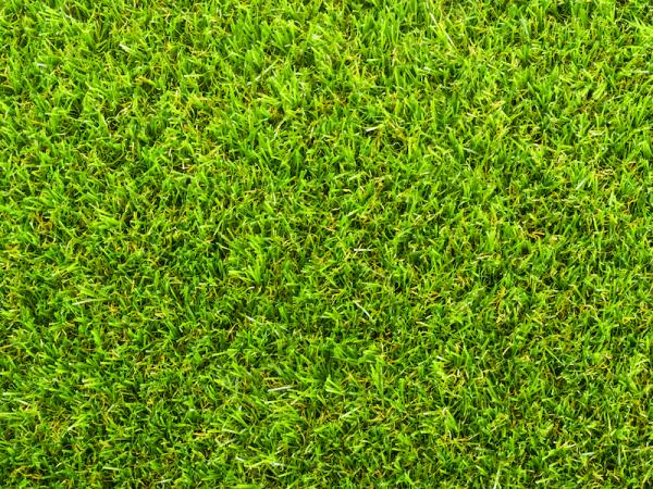 Top tips for artificial grass maintenance in autumn