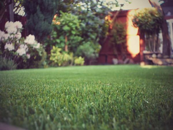 Who should consider getting artificial grass?