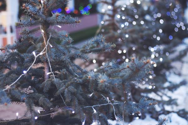 Top Tips for Safely Landscaping Your Outside Christmas Decorations