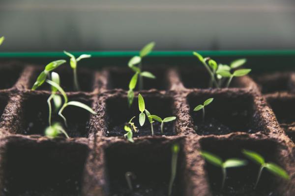 Four Benefits of Composting in Your Garden