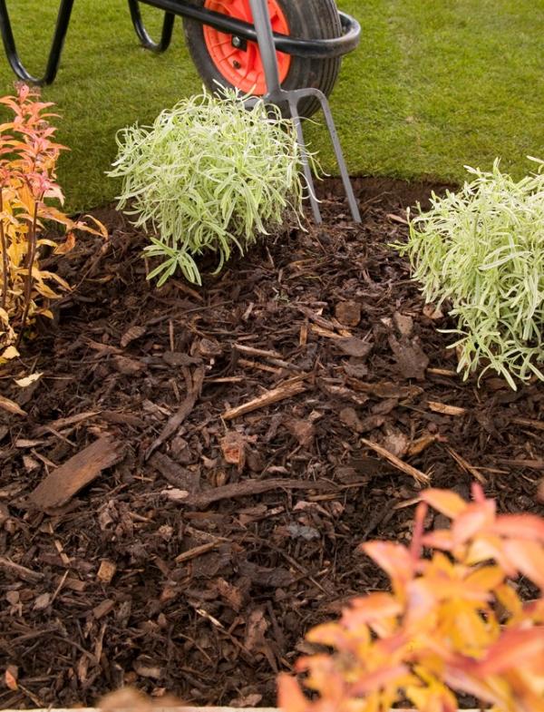 The best way to use Landscaping bark in a London garden