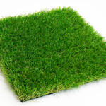 Artificial grass versus the real thing